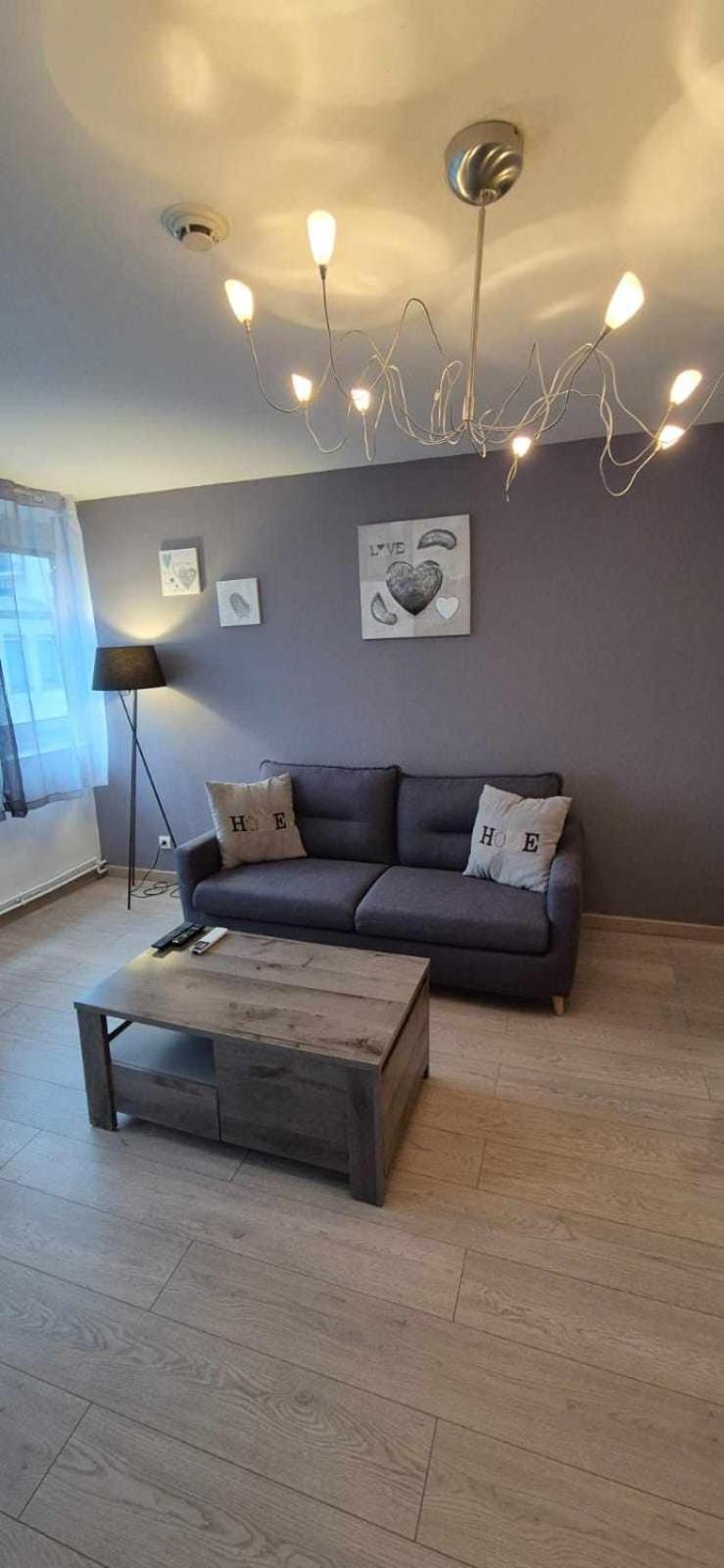 Nouveau !! Appartement Confortable Totalement Renove Avec Parking Gratuit - Hypercentre De Nancy Exterior foto