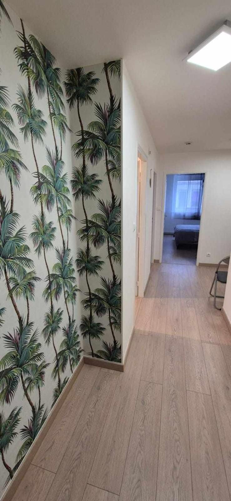 Nouveau !! Appartement Confortable Totalement Renove Avec Parking Gratuit - Hypercentre De Nancy Exterior foto